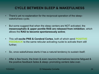 Neurophysiology :-Reticular -formations. | PDF