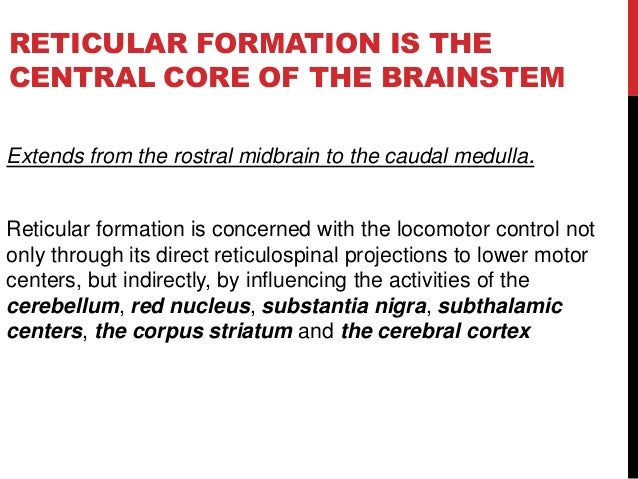 reticular formation function