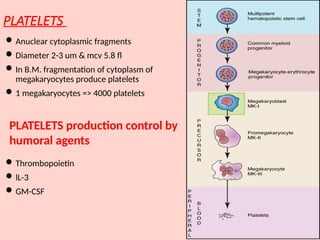 reticulated Platelets / immature platelets | PPTX