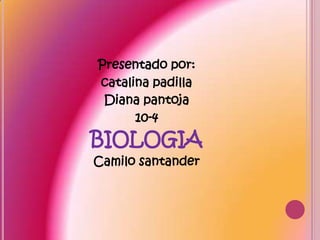 Presentado por: catalina padilla Diana pantoja 10-4 BIOLOGIA Camilo santander 