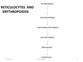 Pro Nomoblast
RETICULOCYTES AND
ERYTHROPOIESIS
Early Normoblast
Intermediate Normoblast
Late Normoblast
Reticulocyte
Erythrocyte
13-10-2018 14SUNIL KUMAR. P
 