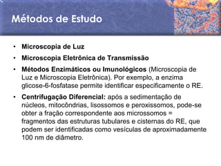Métodos de Estudo

• Microscopia de Luz
• Microscopia Eletrônica de Transmissão
• Métodos Enzimáticos ou Imunológicos (Microscopia de
  Luz e Microscopia Eletrônica). Por exemplo, a enzima
  glicose-6-fosfatase permite identificar especificamente o RE.
• Centrifugação Diferencial: após a sedimentação de
  núcleos, mitocôndrias, lisossomos e peroxissomos, pode-se
  obter a fração correspondente aos microssomos =
  fragmentos das estruturas tubulares e cisternas do RE, que
  podem ser identificadas como vesículas de aproximadamente
  100 nm de diâmetro.
 