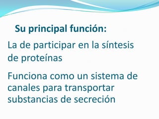 Su principal función:
La de participar en la síntesis
de proteínas
Funciona como un sistema de
canales para transportar
substancias de secreción
 