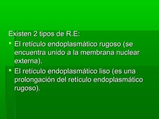 Existen 2 tipos de R.E:
 El retículo endoplasmático rugoso ( se
encuentra unido a la membrana nuclear
externa).
 El retículo endoplasmático liso (es una
prolongación del retículo endoplasmático
rugoso).

 