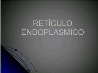 Reticulo Endoplasmico