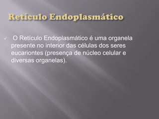  O Retículo Endoplasmático é uma organela
presente no interior das células dos seres
eucariontes (presença de núcleo celular e
diversas organelas).
 