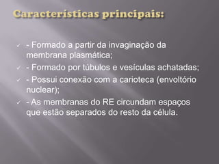  - Formado a partir da invaginação da
membrana plasmática;
 - Formado por túbulos e vesículas achatadas;
 - Possui conexão com a carioteca (envoltório
nuclear);
 - As membranas do RE circundam espaços
que estão separados do resto da célula.
 