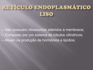 - Não possuem ribossomos aderidos à membrana;
- Composto por um sistema de túbulos cilíndricos;
- Atuam na produção de hormônios e lipídios.
 