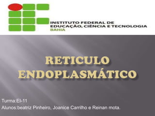 Turma:EI-11
Alunos:beatriz Pinheiro, Joanice Carrilho e Reinan mota.
 