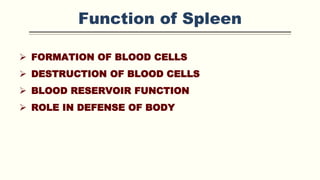 Function of Spleen
 FORMATION OF BLOOD CELLS
 DESTRUCTION OF BLOOD CELLS
 BLOOD RESERVOIR FUNCTION
 ROLE IN DEFENSE OF BODY
 