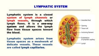 LYMPHATIC SYSTEM
Lymphatic system is a closed
system of lymph channels or
lymph vessels, through which
lymph flows. It is a one-way
system and allows the lymph
flow from tissue spaces toward
the blood.
Lymphatic system arises from
tissue spaces as a meshwork of
delicate vessels. These vessels
are called lymph capillaries.
 