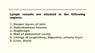 Lymph vessels are situated in the following
regions:
1. Deeper layers of skin
2. Subcutaneous tissues
3. Diaphragm
4. Wall of abdominal cavity
5. Linings of respiratory, digestive, urinary tract
6. Liver, Heart
 