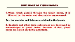 FUNCTIONS OF LYMPH NODES
1. When lymph passes through the lymph nodes, it is
filtered, i.e. the water and electrolytes are removed.
But, the proteins and lipids are retained in the lymph.
2. Bacteria and other toxic substances are destroyed by
macrophages of lymph nodes. Because of this, lymph
nodes are called DEFENSE BARRIERS.
 