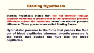 Starling Hypothesis
Starling hypothesis states that the net filtration through
capillary membrane is proportional to the hydrostatic pressure
difference across the membrane minus the oncotic pressure
difference. These pressures are called Starling forces.
Hydrostatic pressure is the force that pushes the fluid
out of blood capillaries whereas, oncotic pressure is
the force that pushes the fluid into the blood
capillaries.
 