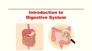 Introduction to
Digestive System
 
