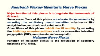 Auerbach Plexus/ Myenteric Nerve Plexus
Major function of this plexus is to regulate the movements of
GI tract.
Some nerve fibers of this plexus accelerate the movements by
secreting the excitatory neurotransmitter substances like
acetylcholine, serotonin and substance P.
Other fibers of this plexus inhibit the GI motility by secreting
the inhibitory neurotransmitters such as vasoactive intestinal
polypeptide (VIP), neurotensin and enkephalin.
Meissner Nerve Plexus
Function of Meissner plexus is the regulation of secretory
functions of GI tract.
 