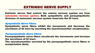 EXTRINSIC NERVE SUPPLY
Extrinsic nerves that control the enteric nervous system are from
autonomic nervous system. Both sympathetic and parasympathetic
divisions of autonomic nervous system innervate the GI tract.
Sympathetic Nerve Fibers
Sympathetic nerve fibers inhibit the movements and decrease the
secretions of GI tract by secreting the neurotransmitter noradrenaline.
Parasympathetic Nerve Fibers
Parasympathetic nerve fibers accelerate the movements and increase
the secretions of GI tract.
The neurotransmitter secreted by the parasympathetic nerve fibers is
acetylcholine (Ach).
 