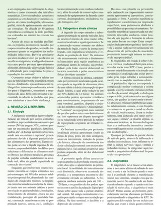 a ser empregadas na confirmação do diagnóstico e como tratamento das reticulites
traumáticas. Diversos trabalhos posteriores
ocuparam-se em desenvolver métodos especiais de exame (radiografia, ultrassonografia), além de aprimoramento das técnicas cirúrgicas. Na década de 80 ganhou
importância a utilização de imãs profiláticos colocados no interior do retículo dos
bovinos8.
Apesar de todas as medidas profiláticas, os prejuízos econômicos causados por
corpos estranhos são grandes, sendo tão importantes quanto os originados por enfermidades infecciosas. Deve-se considerar
que além do dano visível por perda total ou
sacrifício obrigatório, a indigestão traumática causa perdas por mau aproveitamento
alimentar, diminuição da produção leiteira
e dificuldade para recuperação do peso e
reprodução dos animais8.
O presente artigo objetiva relatar um
caso de reticuloperitonite traumática em um
bovino, detalhando, após embasamento bibliográfico, todos os procedimentos adotados para o diagnóstico, tratamento e prognóstico do caso, bem como ressaltar a necessidade da adoção de medidas que possam minimizar a ocorrência da doença.
2. REVISÃO DE LITERATURA
2.1. Etiologia
A indigestão traumática decorre da perfuração do retículo por corpos estranhos
metálicos, representados na sua maioria por
arames (76%) e pregos (30%), embora possam ser encontrados parafusos, ferrolhos,
pedras, etc2. A doença acomete os bovinos,
sendo rara em ovinos e caprinos4, principalmente devido a algumas particularidades alimentares dos primeiros. Dentre estas, pode-se citar a rápida ingestão de alimentos, pequena habilidade dos lábios para
selecionar e diferenciar os alimentos muito fibrosos dos objetos metálicos, presença
de papilas voltadas caudalmente na cavidade oral, além da grande capacidade de
contração do retículo8.
Enquanto que em bovinos jovens raramente encontra-se corpos estranhos nos
pré-estomagos, até 90% dos animais adultos podem possuí-los, dependendo das condições de criação dos mesmos. A freqüência está relacionada às condições de manejo (mais raro em animais criados a pasto
em relação ao gado estabulado), instalações,
fornecimento de alimento, época do ano
(estabulação, pastagem de qualidade baixa), construção ou reforma recente na propriedade (currais, cercas, etc.), condições

locais (alimentação com resíduos industriais), além do estado de conservação e manutenção de equipamentos da fazenda como
carretas, desintegradores, ensiladeiras, vagão forrageiro, etc6.
2.2. Patogenia e sinais clínicos
A ingestão do corpo estranho e subseqüente penetração na parede reticular, leva
ao desenvolvimento de uma reação inflamatória localizada e aguda (peritonite). Se
a penetração ocorrer somente nas dobras
da parede do órgão, o curso da doença será
brando, com inapetência temporária e redução na produção de leite2. Os sintomas
são extremamente variáveis e diretamente
influenciados pela região anatômica da
perfuração dentro do retículo, sua profundidade, pela lesão visceral abdominal ou
torácica associada e pelas características
físicas do objeto causador 7.
A forma clássica da doença, caracterizada por peritonite localizada aguda, acarreta queda na ingestão de alimentos, além
de uma súbita e drástica interrupção da produção leiteira, a qual pode reduzir-se em
até 50% dentro de 12 horas2. Os animais
acometidos podem apresentar relutância
para movimentar-se, arqueamento da coluna vertebral, gemidos, dispnéia e abdução dos membros torácicos9. Ocasionalmente “vomitam” ou regurgitam mais material
do que eles podem reter como bolo alimentar. Isso representa um disparo neurogênico ou relacionado com a pressão do reflexo
de regurgitação originário de irritação reticular7.
Os bovinos acometidos por peritonite
localizada crônica apresentam sinais de
perda de peso, pelos em más condições,
anorexia intermitente, redução da produção leiteira, alteração da consistência das
fezes e disfunção rumenal com ou sem timpanismo leve. Tais animais podem ter uma
postura arqueada, além de dor abdominal
detectável6.
A peritonite aguda difusa caracterizase pela aparência de profunda toxemia dois
a três dias após o aparecimento da peritonite local. A motilidade do trato alimentar
está diminuída, observa-se acentuada depressão, e a temperatura encontra-se discretamente elevada ou subnormal. A frequência cardíaca aumenta para até 100 –
120 bpm, e os gemidos de dor podem aparecer com o auxílio da palpação digital profunda sobre quase toda a parede abdominal ventral. Tal estágio normalmente é seguido por rápido colapso na circulação periférica. Na fase terminal, o decúbito e a
depressão são comuns6.

Bovinos com pleurite ou pericardite
após perfuração por corpo estranho normalmente apresentam-se depressivos, com taquicardia e febre. A pleurite manifesta-se
rapidamente, caracterizada por respiração
superficial, sons pulmonares abafados e
possibilidade de presença de estertores. Pericardite traumática é caracterizada por abafamento dos ruídos cardíacos, estase positiva da veia jugular e formação de edema
nas partes baixas do corpo. Estas complicações indicam um prognóstico desfavorável e o animal pode morrer subitamente em
decorrência de perfuração do miocárdio,
produzindo hemorragia intensa no interior do saco pericárdico5.
O prognóstico em relação à sobrevivência e retorno a produção de leite para a maioria das vacas com RPT é bom, porém o
mesmo estará diretamente relacionado com
a extensão e localização das lesões provocadas pelo corpo estranho e consequentemente com as seqüelas resultantes disto7.
A pericardite séptica corresponde à
complicação melhor conhecida e ocorre
quando o corpo estranho metálico perfura
em direção cranial, atingindo o diafragma
e o pericárdio, podendo resultar em alguns
casos, em quadros de septicemia e morte1.
Os abscessos reticulares também são seqüelas relativamente comuns, e com freqüência aparecem na parede cranial ou direita
do retículo, onde causam, direta ou indiretamente, uma disfunção dos ramos nervosos vagais ventrais6. A pleurite séptica, os
abscessos torácicos, as hérnias diafragmáticas e a endocardite traumática constituem complicações menos usuais de perfuração do diafragma7.
Qualquer perfuração da parede direita
do retículo pode, através de inflamação e
aderências associadas, lesar, inflamar ou irritar os ramos nervosos vagais ventrais e
redundar em sinais de indigestão vagal, tornando o prognóstico desfavorável do ponto de vista produtivo8.
2.3. Diagnóstico
O diagnóstico deve basear-se na anamnese e no exame clínico detalhado do animal, e tende a ser facilitado quando o mesmo é examinado durante a manifestação
inicial dos sintomas, situação esta que raramente ocorre. Na ausência de um histórico detalhado e quando o quadro está instalado há vários dias, o diagnóstico é mais
difícil5. Outras causas de peritonite, particularmente úlceras abomasais perfuradas,
podem confundir o diagnóstico de RPT. Diagnósticos diferenciais devem incluir condições que levam a sinais gastro-entéricos

 