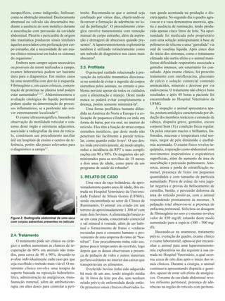 inespecíficos, como indigestão, linfossarcoma ou obstrução intestinal. Deslocamento
abomasal ou vólvulo são descartados mediante a ausência do som metálico durante
a auscultação com percussão da cavidade
abdominal. Pleurite e pericardite de origem
não traumática produzem sinais similares
àqueles associados com perfuração por corpo estranho, daí a necessidade de um exame clínico minucioso em todos os sistemas
do organismo7.
Embora nem sempre sejam necessários
ou possíveis de serem realizados a campo,
exames laboratoriais podem ser bastante
úteis para o diagnóstico. Em muitos casos
há uma neutrofilia com desvio à esquerda.
Fibrinogênio e, em casos crônicos, concentração de proteínas no plasma total podem
estar aumentados2,5,6,7. Abdominocentese e
avaliação citológica do líquido peritoneal
podem ajudar na determinação de processos inflamatórios, se a peritonite não estiver extremamente localizada2,9.
O exame ultrassonográfico, baseado na
observação da motilidade reticular e contorno deste órgão e estruturas adjacentes,
associado a radiografias da área do retículo, constituem um procedimento auxiliar
útil em hospitais de ensino e centros de referência, porém são pouco relevantes para
o diagnóstico a campo3,7.

tonite. Recomenda-se que o animal seja
confinado por vários dias, objetivando-se
favorecer a formação de aderências no local da perfuração9. O procedimento cirúrgico envolve rumenotomia com remoção
manual do corpo estranho, além da aspiração e drenagem de abscessos quando presentes5. A laparorumenotomia exploratória
também é utilizada rotineiramente como
um método de diagnóstico nos casos mais
obscuros8.

FONTE: REBHUN, 2008

2.5. Profilaxia
O principal cuidado relacionado à prevenção da reticulite traumática direcionase no sentido de evitar a ingestão de corpos
estranhos pelos animais, no entanto o problema persiste apesar de todos os cuidados
com a alimentação e manejo. Deste modo
nunca se poderá evitar completamente a
doença, porém somente minimizá-la8.
Uma forma profilática bastante difundida na América do Norte e Europa é a colocação de pequenos cilindros ou imãs em
forma de barra, por via oral, no interior do
retículo. Eles têm a função de atrair corpos
estranhos metálicos, que deste modo não
penetram tão facilmente a parede reticular, como quando estão livres2. O uso destes imãs preventivamente, de modo amplo,
reduz a incidência da RPT e suas complicações em 90 a 98%. Os magnetos são administrados para as novilhas de 18 meses
a dois anos de idade, como parte de um
programa de saúde do rebanho6.

Figura 2: Radiografia abdominal de uma vaca
com corpos estranhos presentes no retículo
...............................................................................

2.4. Tratamento
O tratamento pode ser clínico ou cirúrgico e ambos aumentam as chances de recuperação de 60% em animais não tratados, para cerca de 80 a 90%, devendo-se
avaliar individualmente cada caso pra que
seja escolhido o método mais viável. O tratamento clínico envolve uma terapia de
suporte baseada na reposição hidroeletrolítica, administração de analgésicos, transfaunação rumenal, além de antibioticoterapia em altas doses para controlar a peri-

3. RELATO DE CASO
Uma vaca da raça holandesa, de aproximadamente quatro anos de idade, deu entrada no Hospital Veterinário da Universidade Federal de Minas Gerais (UFMG),
sendo encaminhada ao setor de Clínica de
Ruminantes. O animal era criado em um
terreno de aproximadamente 1.300 m2 com
mais dois bovinos. A alimentação baseavase em cana picada, concentrado comercial
e sal mineral à vontade, além de ser habitual o fornecimento de frutas e verduras
recusadas para o consumo humano e provenientes de uma empresa do ramo de “hortifruti”. Este procedimento tinha sido suspenso pouco tempo antes do ocorrido, logo
depois que os donos observaram a presença de pedaços de vidro e outros materiais
perfuro-cortantes no interior das caixas que
transportavam os alimentos.
O referido bovino tinha sido adquirido
há mais de um ano, tendo atingido média
de 16 litros de leite por dia, sem nenhum
relado prévio de enfermidade desde então.
Os primeiros sinais clínicos observados fo-

ram queda acentuada na produção e discreta apatia. No segundo dia o quadro agravou-se e a vaca demonstrou anorexia, apatia e ausência de ruminação, tendo produzido apenas cinco litros de leite. Na oportunidade foi medicada pelo proprietário
com uma solução antiespumante à base de
polímeros de silicone e uma “garrafada” via
oral de vaselina líquida. Após cinco dias
do início dos sintomas, como o tratamento
efetuado não surtiu efeito e o animal manifestou dificuldade respiratória associada a
gemidos intensos, um veterinário foi consultado. Após exame clínico, foi prescrito
tratamento com enrofloxacina, gluconato
de cálcio e solução comercial contendo
aminoácidos, minerais e dextrose por via
endovenosa. O tratamento não obteve bons
resultados e após 48 horas a paciente foi
encaminhada ao Hospital Veterinário da
UFMG.
À inspeção o animal apresentava apatia, postura antiálgica caracterizada por abdução dos membros torácicos e extensão da
cabeça, dispnéia grave, gemidos, escore
corporal bom (3) e condição física regular.
Os pelos estavam macios e brilhantes, linfonodos, mucosas e temperatura retal normais, turgor de pele diminuído e enoftalmia acentuada. O exame físico revelou taquipnéia, respiração costo-abdominal com
movimentos inspiratórios e expiratórios
superficiais, além do aumento da área de
auscultação e percussão pulmonares. Anorexia, atonia e perda de estratificação rumenal, presença de fezes em pequenas
quantidades e com tamanho de partícula
aumentado. Prova de estase da veia jugular negativa e provas do beliscamento de
cernelha, bastão, e percussão dolorosa da
área do retículo positivas, com o animal
respondendo prontamente às mesmas. À
palpação retal observou-se a presença de
enfisema peritoneal. Solicitou-se dosagem
de fibrinogênio no soro e o mesmo revelou
valor de 850 mg/dl, estando deste modo
aumentado para a espécie (300 - 500 mg/
dl).
Baseando-se na anamnese, tratamento
prévio, evolução do quadro, exame clínico
e exame laboratorial, optou-se por encaminhar o animal para uma laparorumenotomia exploratória no dia seguinte á sua entrada no Hospital Veterinário, a qual ocorreu cerca de oito dias após o início dos sinais clínicos. Durante a cirurgia, o animal
continuava apresentando dispnéia e gemidos, apesar de estar sob efeito de analgésicos. O exame da cavidade abdominal revelou enfisema peritoneal, presença de aderências na região do retículo com peritoni-

 