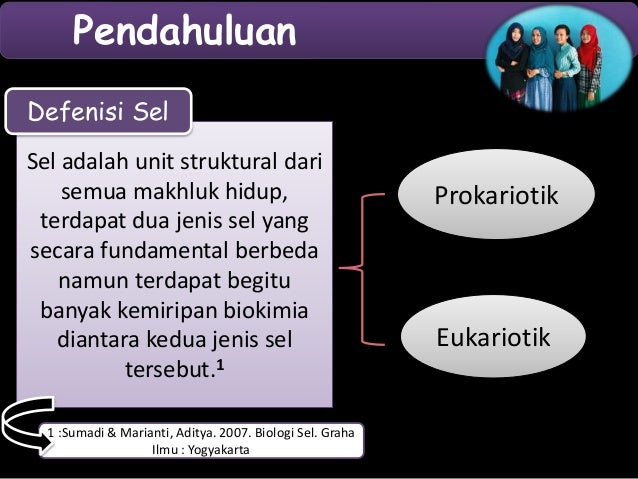  Retikulum  endoplasma 