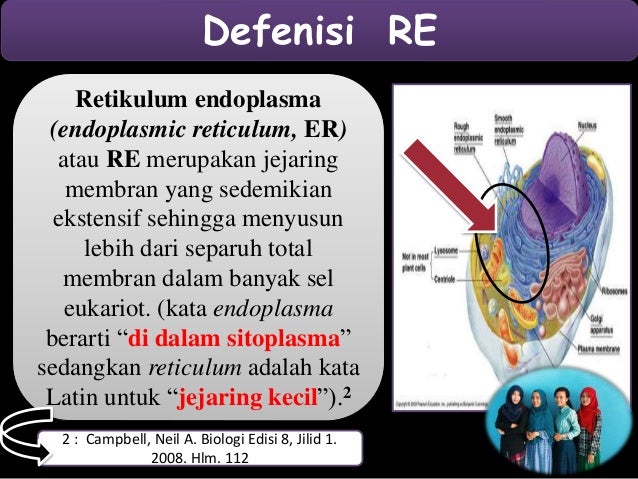Endoplasma