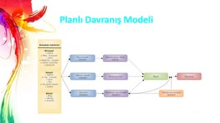 Planlı Davranış Modeli
 