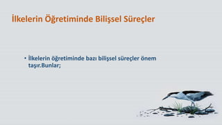 İlkelerin Öğretiminde Bilişsel Süreçler
• İlkelerin öğretiminde bazı bilişsel süreçler önem
taşır.Bunlar;
 