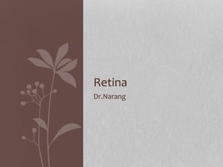 Dr.Narang Retina 