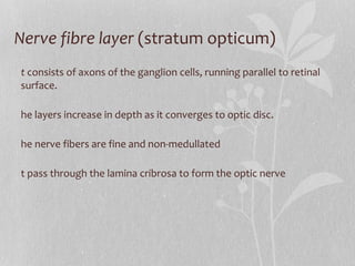 Nerve fibre layer  (stratum opticum)  It  consists of axons of the ganglion cells, running parallel to retinal surface. The layers increase in depth as it converges to optic disc. The nerve fibers are fine and non-medullated  It pass through the lamina cribrosa to form the optic nerve 