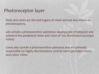 Photoreceptor layer Rods and cones are the end organs of vision and are also known as  photoreceptors . Rods  contain a photosensitive substance visual purple  (rhodopsin)  and subserve the peripheral vision and vision of low illumination ( scotopic vision). Cones  also contain a photosensitive substance and are primarily responsible for highly discriminatory central vision ( photopic vision ) and colour vision. 