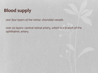 Blood supply Outer four layers of the retina-  choroidal vessels Inner six layers-  central retinal artery, which is a branch of the ophthalmic  artery. 