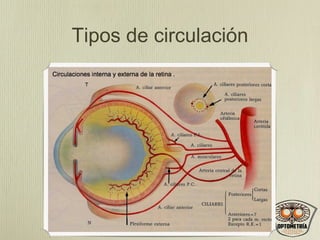 Tipos de circulación

 