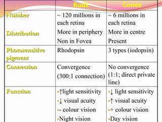 Rods Cones
Number
Distribution
~ 120 millions in
each retina
More in periphery
Non in Fovea
~ 6 millions in
each retina
More in centre
Present
Photosensitive
pigment
Rhodopsin 3 types (iodopsin)
Connection Convergence
(300:1 connection)
No convergence
(1:1; direct private
line)
Function ↑light sensitivity
↓ visual acuity
- colour vision
Night vision
↓ light sensitivity
↑ visual acuity
+ colour vision
Day vision
 