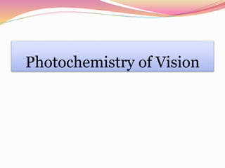 Photochemistry of Vision
 
