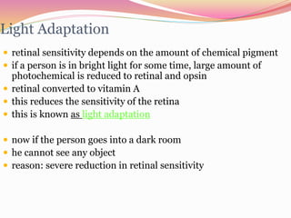 Light Adaptation
 retinal sensitivity depends on the amount of chemical pigment
 if a person is in bright light for some time, large amount of
photochemical is reduced to retinal and opsin
 retinal converted to vitamin A
 this reduces the sensitivity of the retina
 this is known as light adaptation
 now if the person goes into a dark room
 he cannot see any object
 reason: severe reduction in retinal sensitivity
 