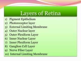 Layers of Retina
1) Pigment Epithelium
2) Photoreceptor layer
3) External Limiting Membrane
4) Outer Nuclear layer
5) Outer Plexiform Layer
6) Inner Nuclear Layer
7) Inner Plexiform Layer
8) Ganglion Cell Layer
9) Nerve Fiber Layer
10) Internal Limiting Membrane
 