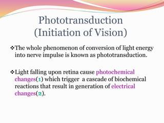 Phototransduction
(Initiation of Vision)
The whole phenomenon of conversion of light energy
into nerve impulse is known as phototransduction.
Light falling upon retina cause photochemical
changes( ) which trigger a cascade of biochemical
reactions that result in generation of electrical
changes( ).
 