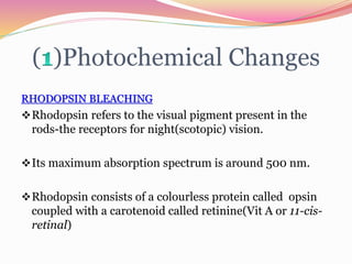 ( )Photochemical Changes
RHODOPSIN BLEACHING
Rhodopsin refers to the visual pigment present in the
rods-the receptors for night(scotopic) vision.
Its maximum absorption spectrum is around 500 nm.
Rhodopsin consists of a colourless protein called opsin
coupled with a carotenoid called retinine(Vit A or 11-cis-
retinal)
 