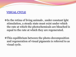 VISUAL CYCLE
In the retina of living animals , under constant lght
stimulation, a steady state must exist under which
the rate at which the photochemicals are bleached is
equal to the rate at which they are regenerated.
This equilibrium between the photo-decomposition
and regeneration of visual pigments is referred to as
visual cycle.
 