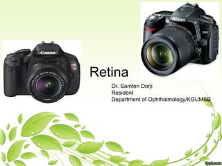 Retina
Dr. Samten Dorji
Resident
Department of Ophthalmology/KGUMSB
 