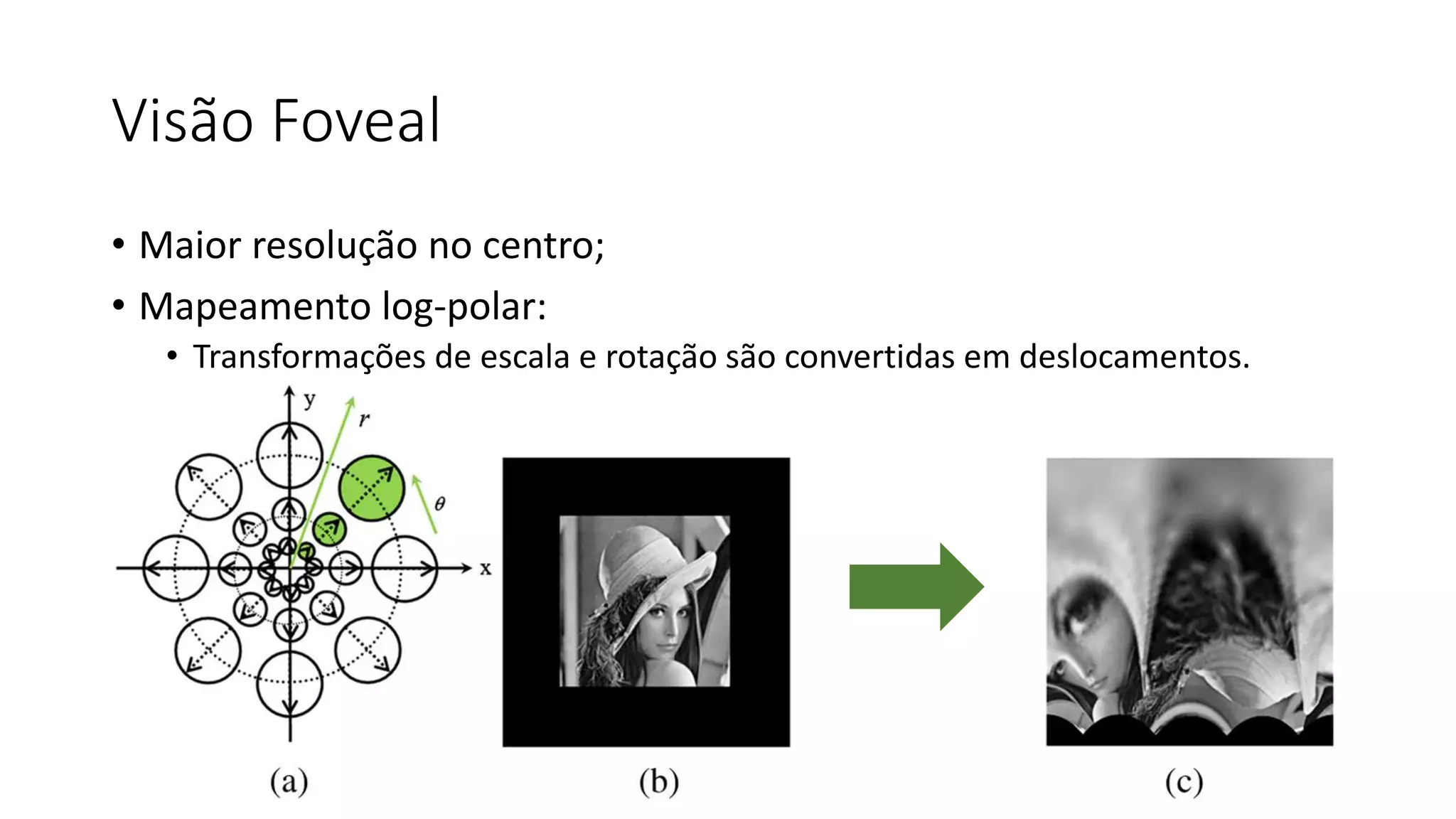 Visão Foveal
• Maior resolução no centro;
• Mapeamento log-polar:
• Transformações de escala e rotação são convertidas em deslocamentos.
 