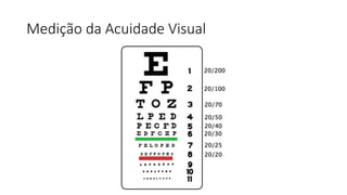 Medição da Acuidade Visual
 