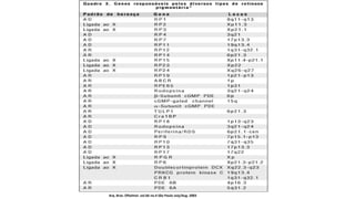 Arq. Bras. Oftalmol. vol.66 no.4 São Paulo July/Aug. 2003
 