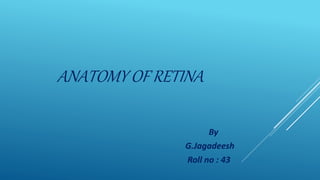ANATOMY OF RETINA
By
G.Jagadeesh
Roll no : 43
 