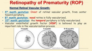 • 4th month gestation: Onset of retinal vascular growth, from center
toward periphery.
• 8th month gestation: nasal retina is fully vascularized,
• 10th month gestation: the temporal periphery is fully vascularized.
• Vascular endothelial growth factor (VEGF) is believed to play an
important role in the vascularization process.
 