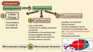 • Accumulation
of sorbitol &
free radicles
• Loss of pericytes
• Thickening of capillary basement
membrane
• Proliferation of endothelial cells
• Increase platelet stickiness
• Increase RBC abnormal forms
• Increase plasma viscosity
• Capillary non perfusion
• Retinal hypoxia
• Increase angiogenic factors
production by endothelial cells
e.g. Vascular Endothelial Growth
Factor (VEGF)
• Neovessel production
Microvascular Leakage Microvascular Occlusion
 