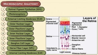 1
2
3
4
5
6
7
8
9
10
 