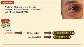 • Nothing; if Macula is not affected
• Sudden, Painless diminution of vision
• Visual field loss (BRVO)
• Normal
• Diminuted • 6/60 or better
• Less than 6/60
 