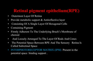 Retina | PPT