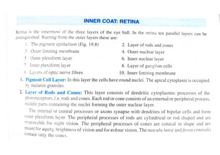 Retina Layers Oct Worksheet.pdf Retina layers | PDF